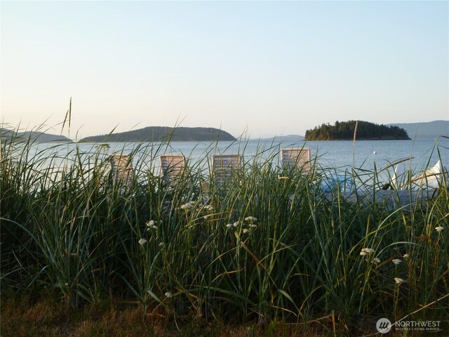 5225 Guemes Island Rd, Anacortes, WA 98221 - photo 20
