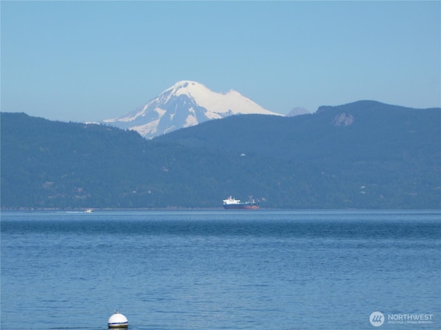 5225 Guemes Island Rd, Anacortes, WA 98221 - photo 3