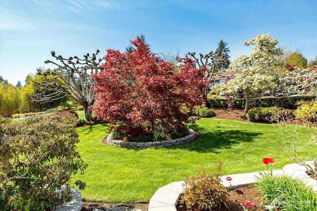 5681 Lenz Pl, Langley, WA 98260 - view of grassy yard