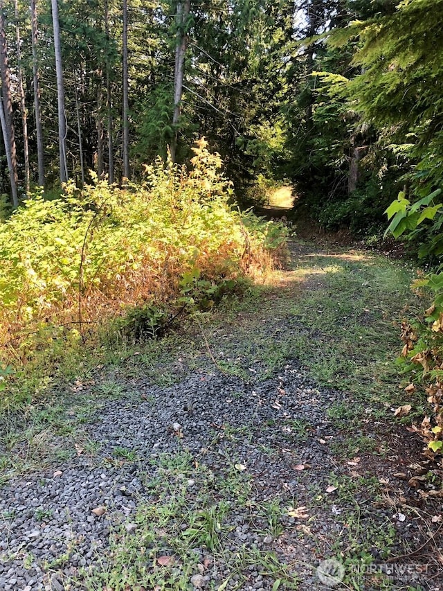 155 Tog Rd, Brinnon, WA 98320
