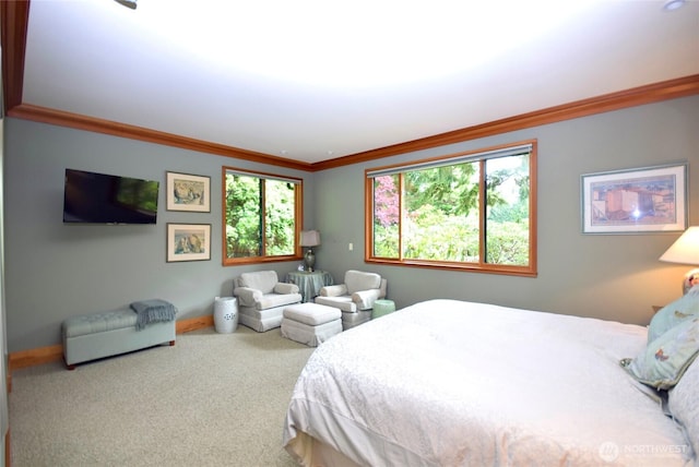 133 Fairway Pl, Sequim, WA 98382 - carpeted bedroom with crown molding and baseboards