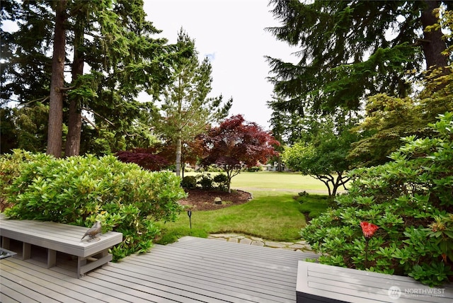 133 Fairway Pl, Sequim, WA 98382 - wooden terrace with a lawn
