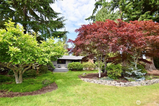133 Fairway Pl, Sequim, WA 98382 - view of green lawn