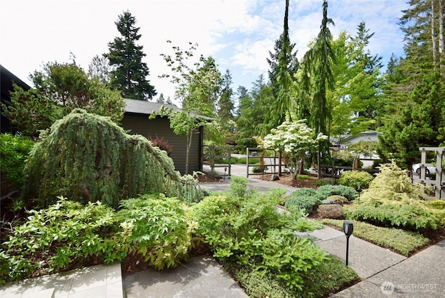 133 Fairway Pl, Sequim, WA 98382 - surrounding community