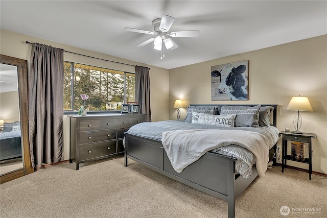 18703 SE 384th St, Auburn, WA 98092 - photo 15