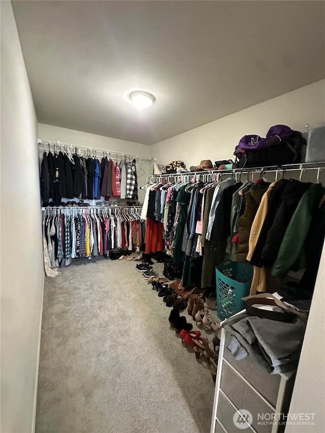 9151 Viola St SE, Tumwater, WA 98501 - walk in closet with carpet flooring
