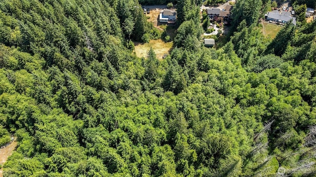 443 Beef Creek Ln NW, Seabeck, WA 98380 - photo 34