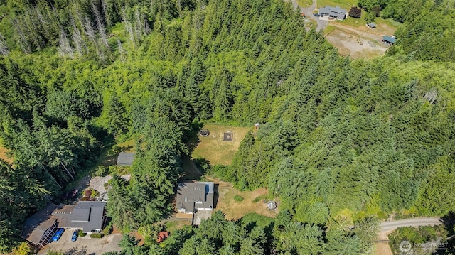 443 Beef Creek Ln NW, Seabeck, WA 98380 - photo 35