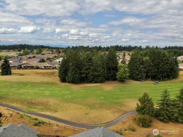 8621 Bainbridge Loop NE, Lacey, WA 98516 - aerial view of residential area