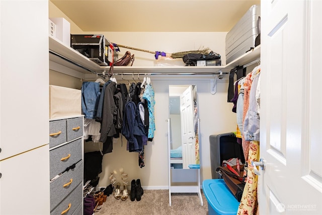 3201 Pacific Ave Unit 403, Tacoma, WA 98418 - walk in closet featuring carpet