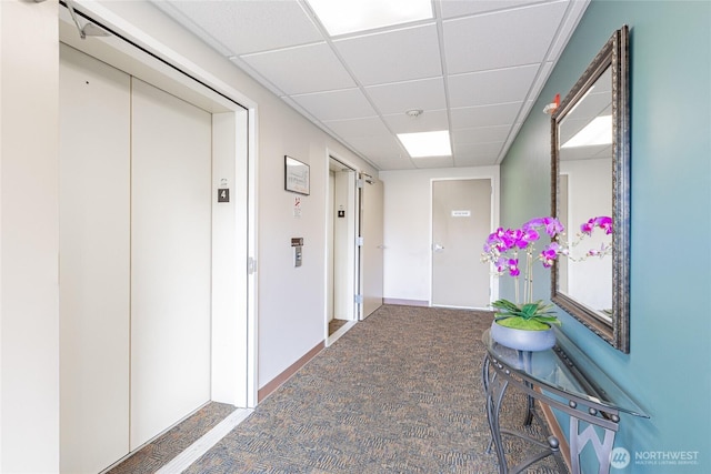 3201 Pacific Ave Unit 403, Tacoma, WA 98418 - hall featuring elevator, carpet floors, and a paneled ceiling