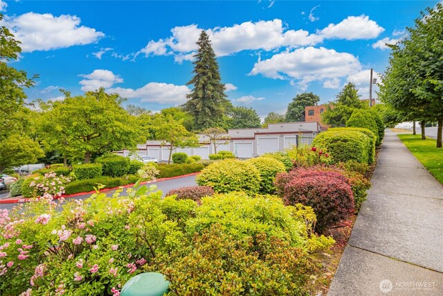3201 Pacific Ave Unit 403, Tacoma, WA 98418 - view of yard