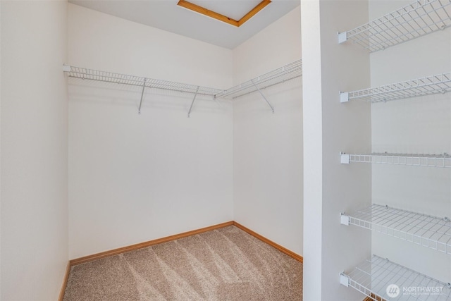 807 Williams St NW, Orting, WA 98360 - spacious closet with carpet