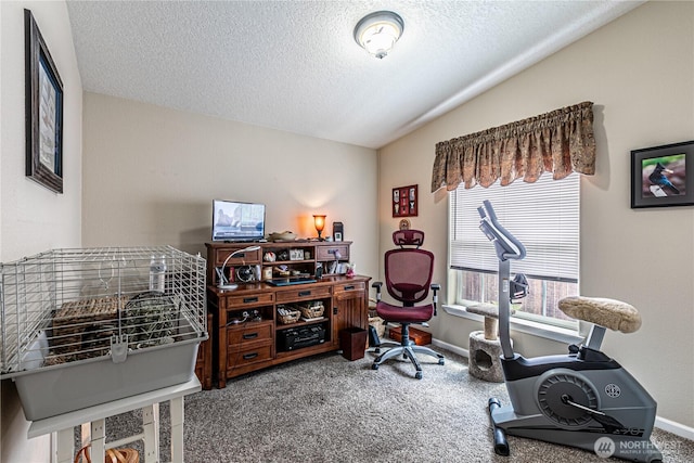 17612 19th Ave E Unit 83, Spanaway, WA 98387 - carpeted home office featuring a textured ceiling and lofted ceiling