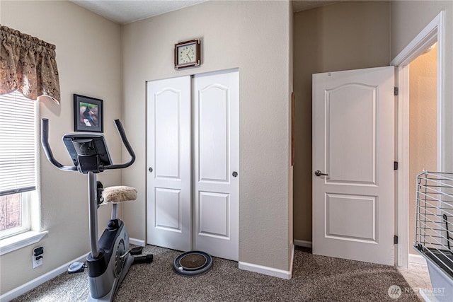 17612 19th Ave E Unit 83, Spanaway, WA 98387 - workout room with carpet flooring