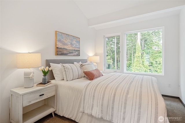 1339 Nolta Loop NE, Bainbridge Island, WA 98110 - carpeted bedroom featuring vaulted ceiling and baseboards