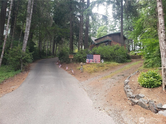 70 NE Wanda Ln, Belfair, WA 98528 - view of asphalt driveway