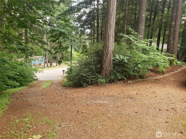 70 NE Wanda Ln, Belfair, WA 98528 - view of nature