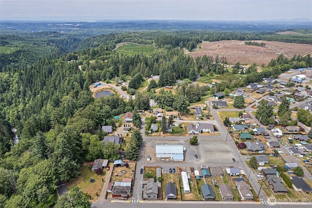 101 Pershing Ave, Carbonado, WA 98323 - photo 39