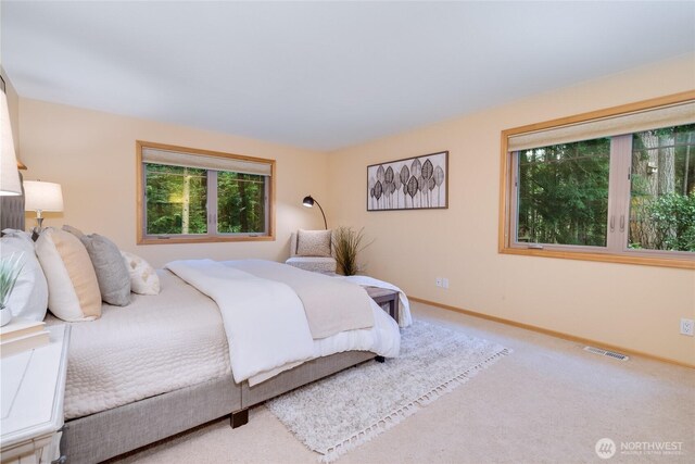 19812 163rd Ave NE, Woodinville, WA 98072 - photo 13