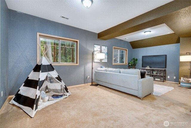 19812 163rd Ave NE, Woodinville, WA 98072 - photo 30