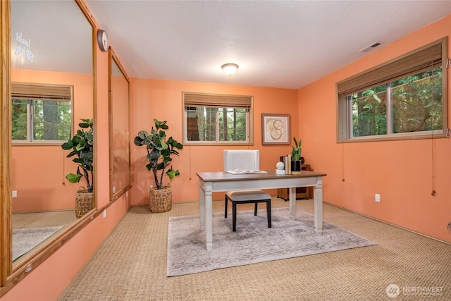 19812 163rd Ave NE, Woodinville, WA 98072 - photo 32