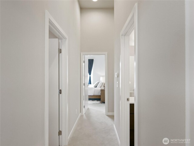 8545 22nd Pl NE, Seattle, WA 98115 - photo 27