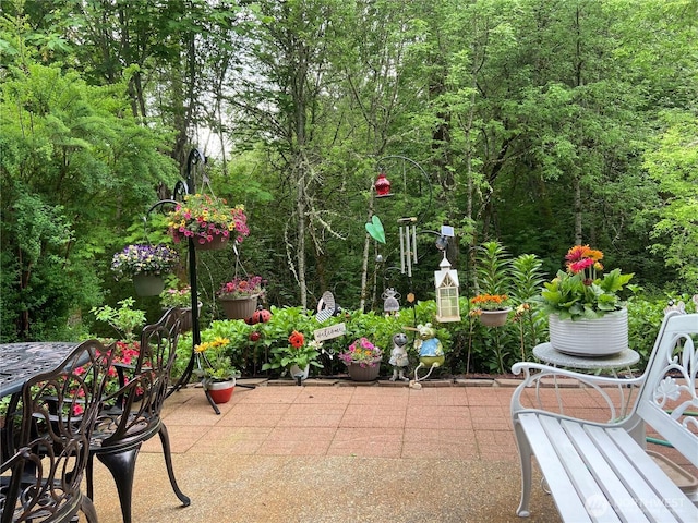 35055 41st Pl S, Auburn, WA 98001 - view of patio / terrace