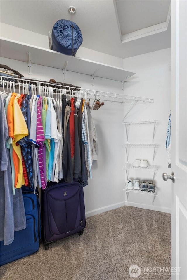 7103 Hazel Pl SE, Auburn, WA 98092 - walk in closet with carpet floors