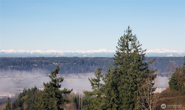 7103 Hazel Pl SE, Auburn, WA 98092 - water view featuring a heavily wooded area and mountains