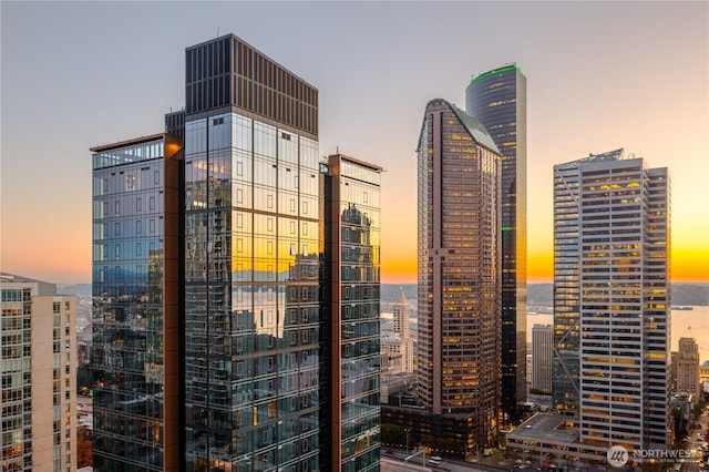 800 Columbia St Unit 2309, Seattle, WA 98104 - view of city