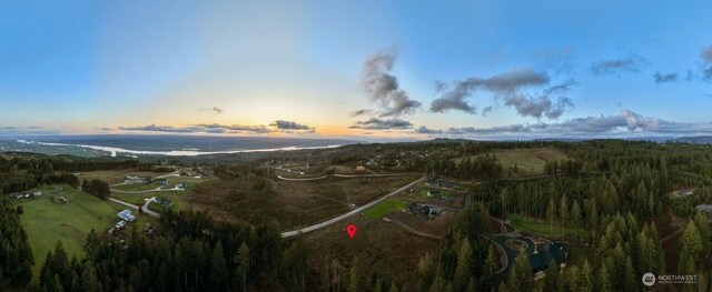 230 Manzanita Dr, Kalama, WA 98625 - photo 9