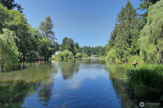 12118 261st Ave E, Buckley, WA 98321 - water view featuring a forest