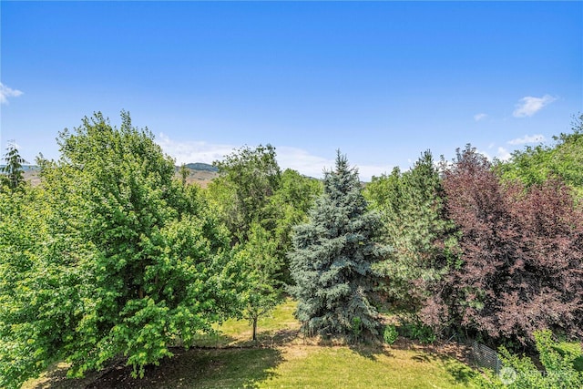 1075 Ridge Crest Dr, Wenatchee, WA 98801 - view of tree filled area