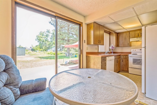 238 NE Damson Pl, College Place, WA 99324 - kitchen featuring white appliances, under cabinet range hood, and light countertops
