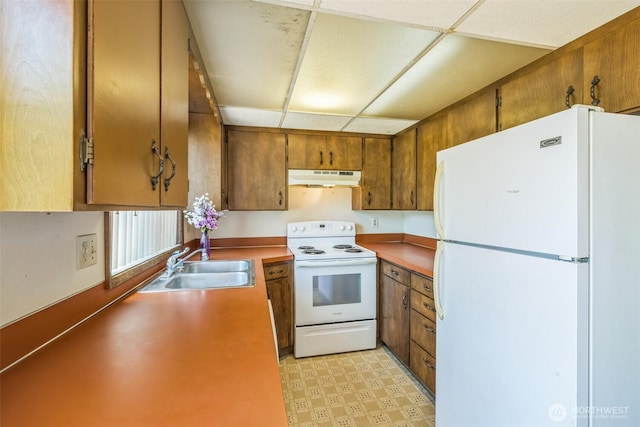 238 NE Damson Pl, College Place, WA 99324 - kitchen featuring white appliances, under cabinet range hood, brown cabinets, a paneled ceiling, and light flooring
