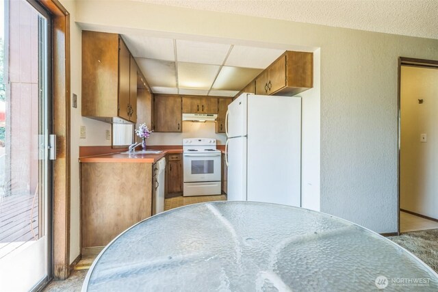 238 NE Damson Pl, College Place, WA 99324 - kitchen with white appliances, under cabinet range hood, brown cabinetry, a paneled ceiling, and a textured wall