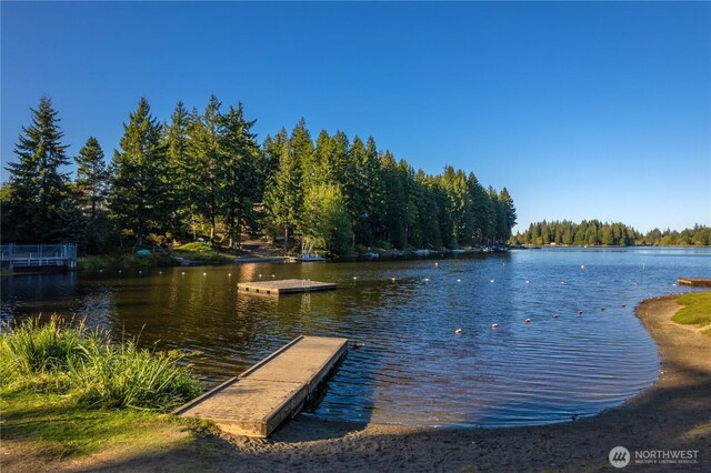 41 E Herron Pl, Shelton, WA 98584 - photo 21