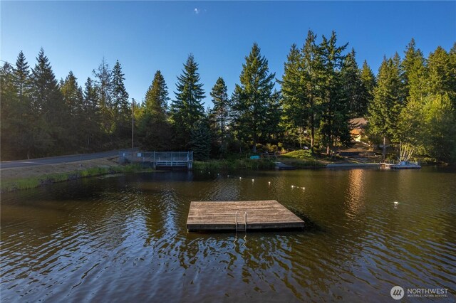 41 E Herron Pl, Shelton, WA 98584 - photo 22