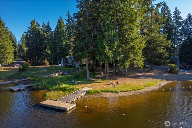 41 E Herron Pl, Shelton, WA 98584 - photo 24