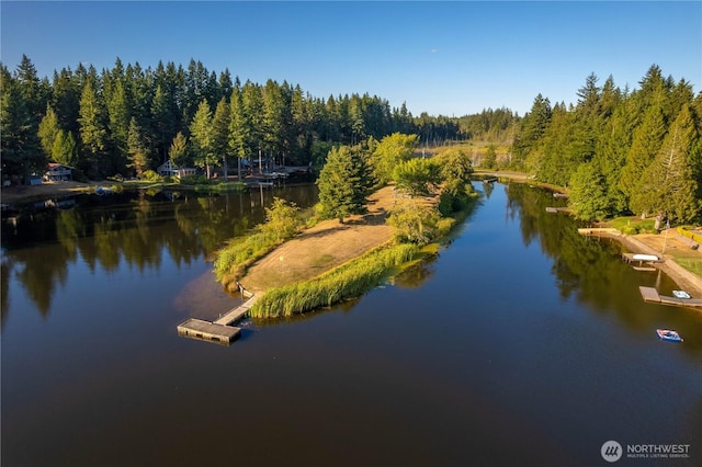 41 E Herron Pl, Shelton, WA 98584 - photo 27