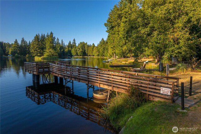 41 E Herron Pl, Shelton, WA 98584 - photo 28