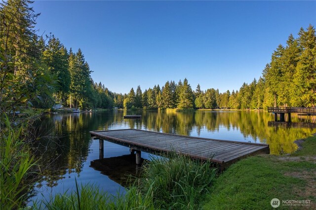 41 E Herron Pl, Shelton, WA 98584 - photo 29