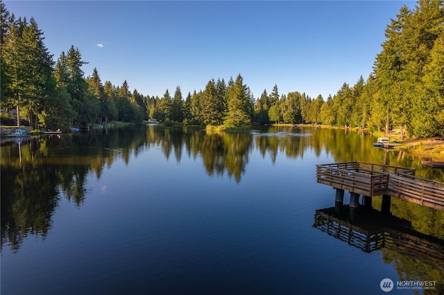 41 E Herron Pl, Shelton, WA 98584 - photo 31