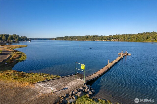 41 E Herron Pl, Shelton, WA 98584 - photo 32
