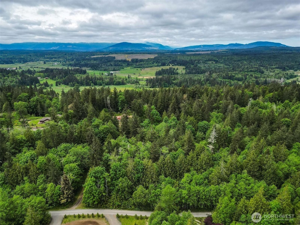 353 Kevin Ln, Chimacum, WA 98325
