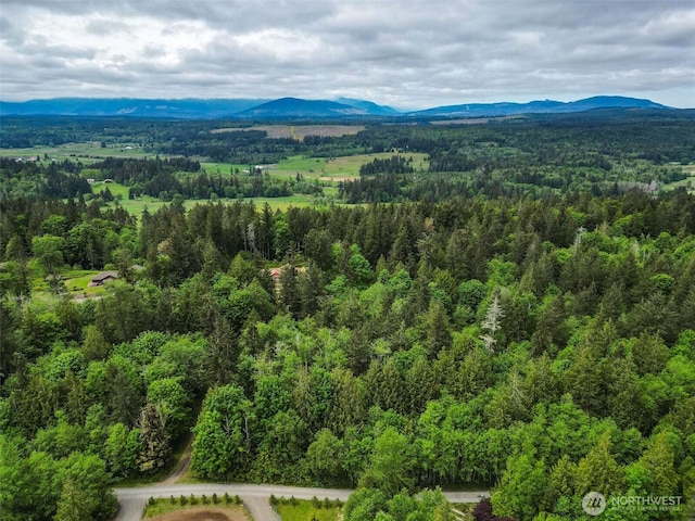 353 Kevin Ln, Chimacum, WA 98325