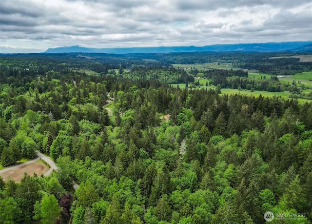 353 Kevin Ln, Chimacum, WA 98325