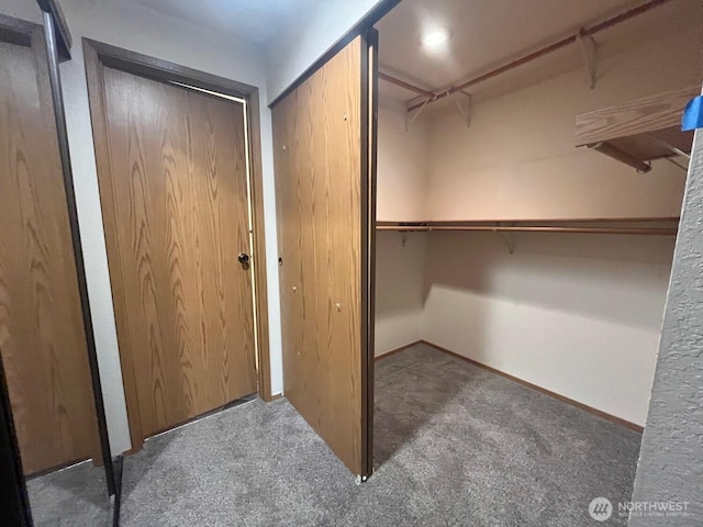 8407 18th Ave W Unit 4-103, Everett, WA 98204 - spacious closet with carpet floors