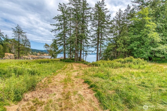 3388 Deer Harbor Rd, Orcas Island, WA 98243 - photo 27